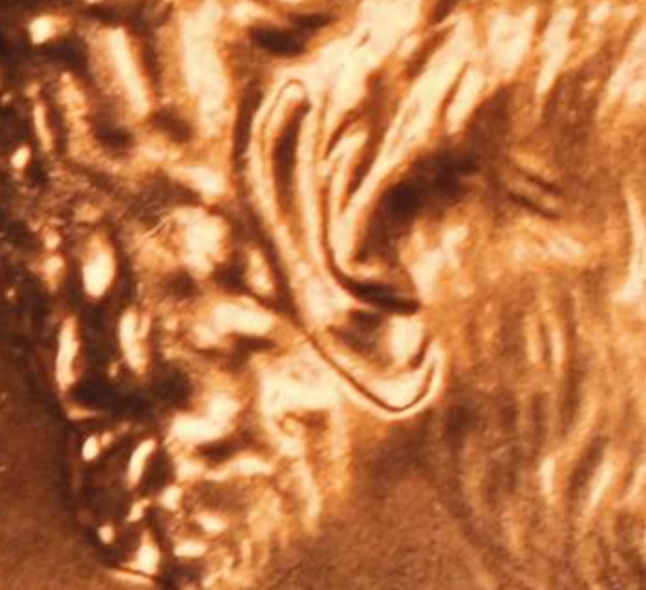 Nice-MD-Double-Ear?-2002-D