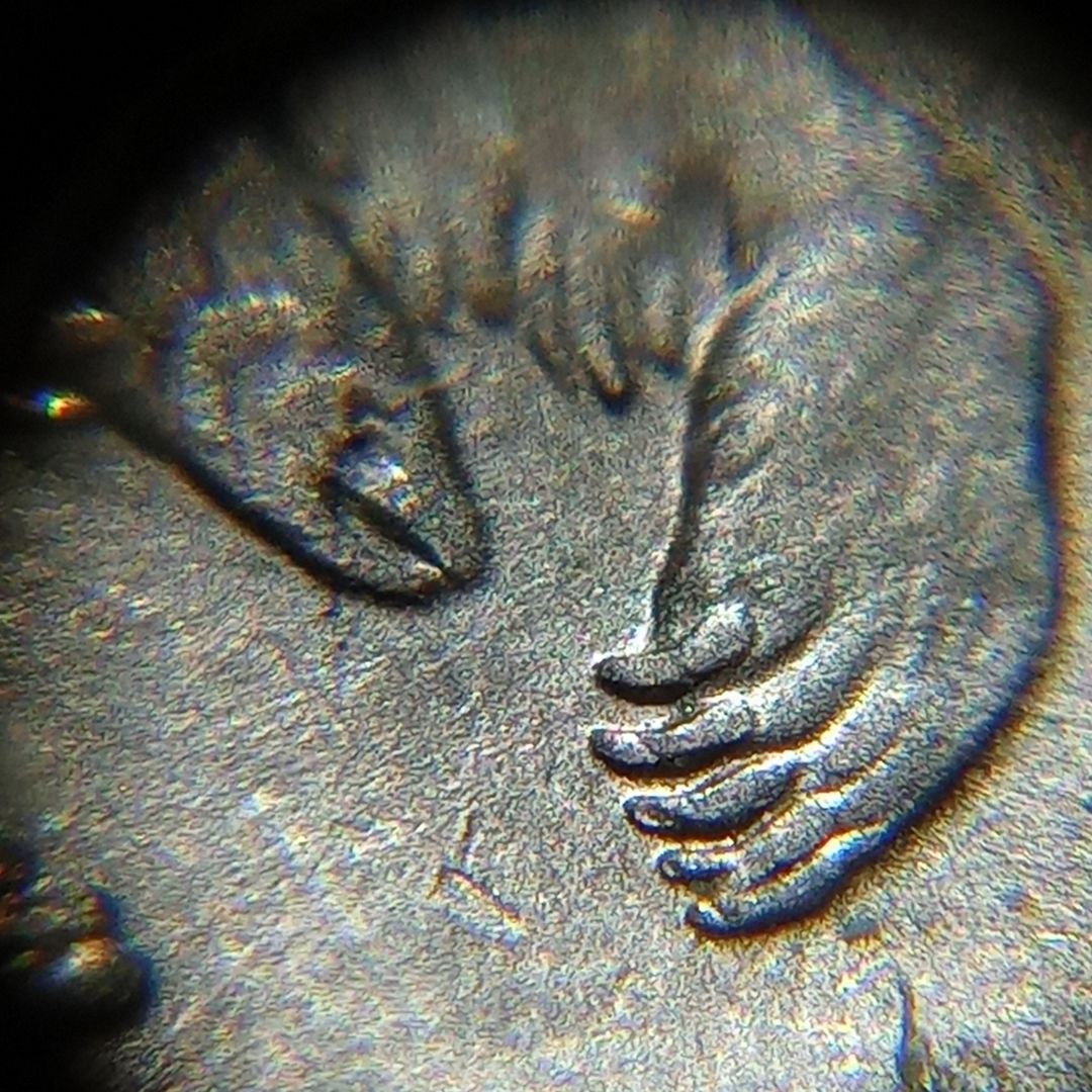 Price-I-Should-Put-On-2008-P-Quarter-6-Claw-Bear?