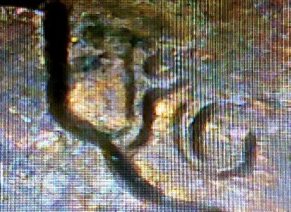 1988-D-1c-Curved-FG.-Error-Or-PMD?