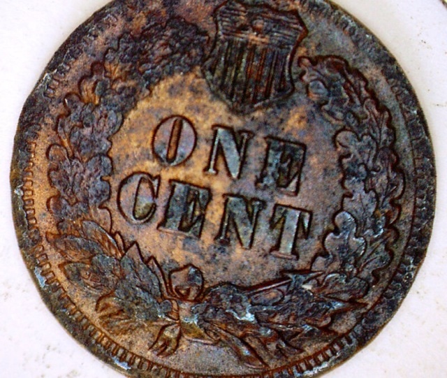 1902-Indian-Head