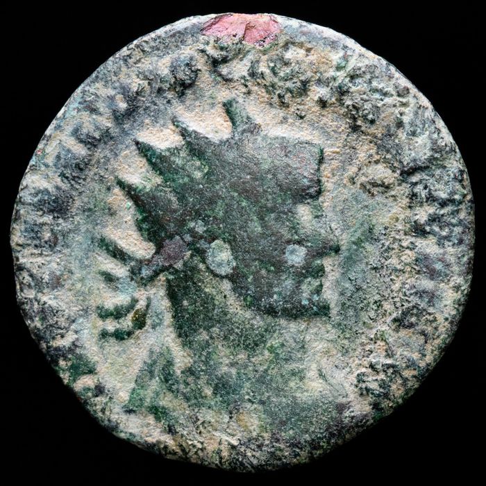 Non-Coin-Collector-Needs-Advice-On-Recent-Coin-Purchase