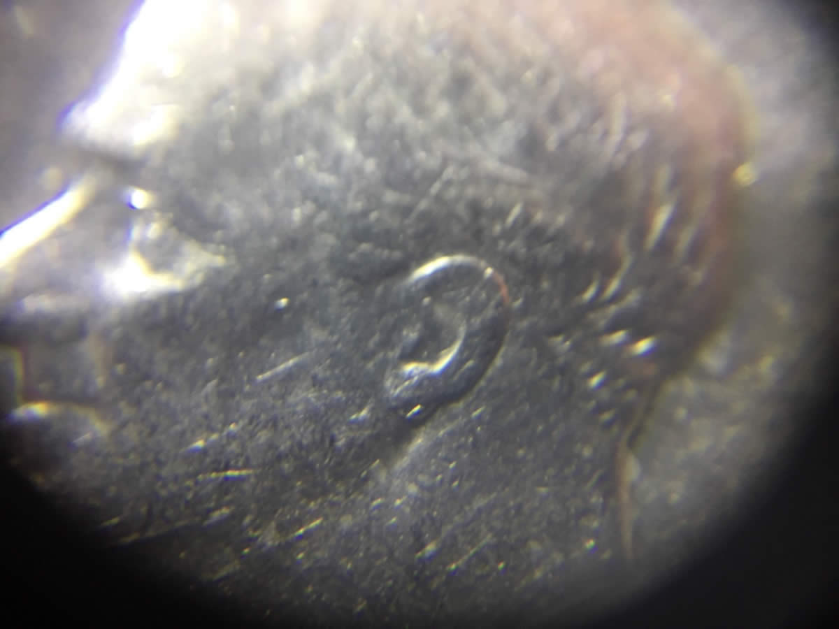 1965-Dime-Possible-Doubled-Ear?