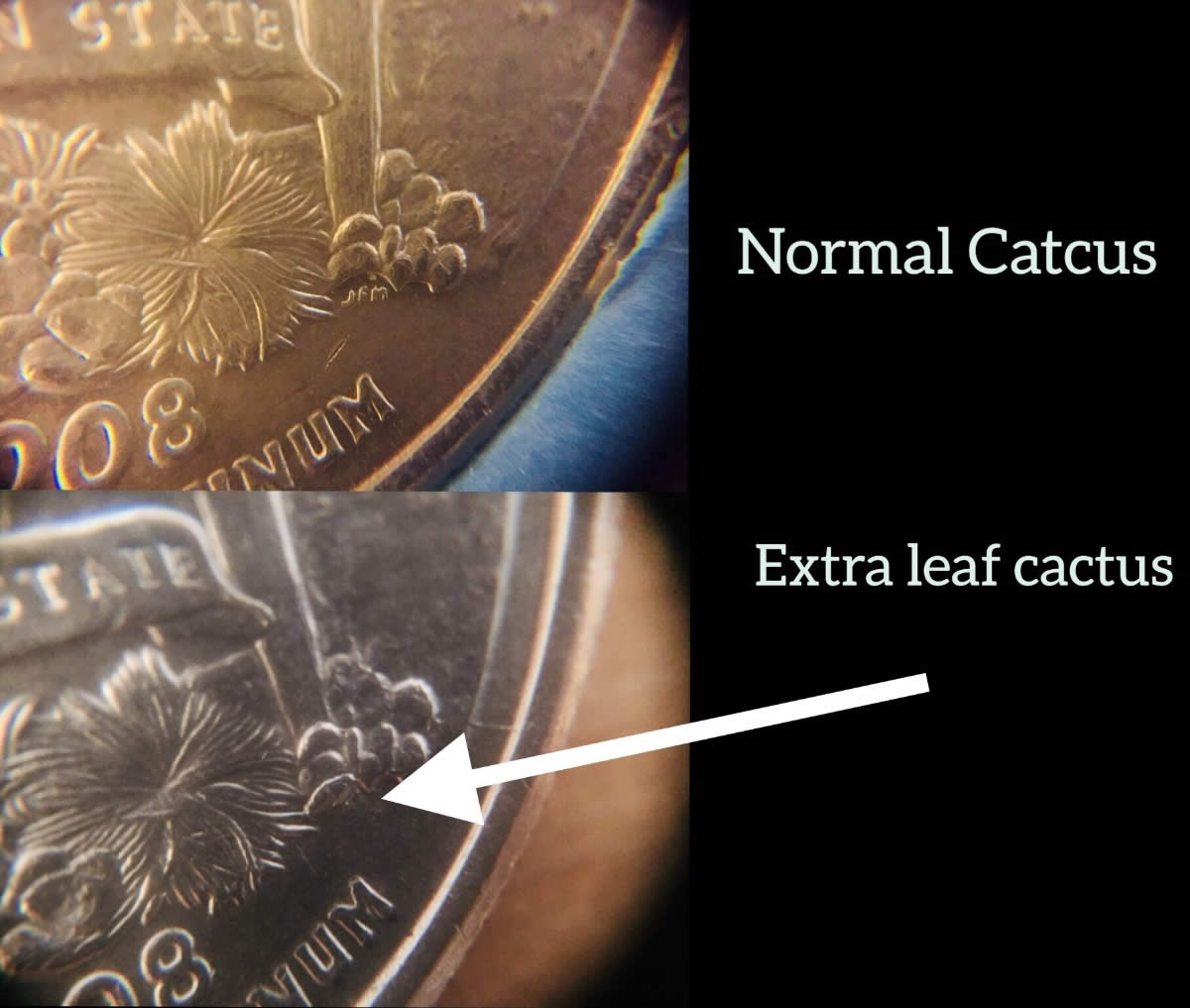 2008-P-Arizona-Washington-Quarter-Extra-Catcus-Leaf?