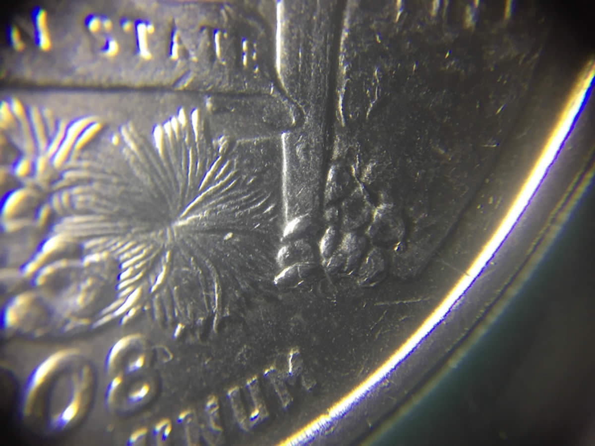 2008-P-Arizona-Washington-Quarter-Extra-Catcus-Leaf?