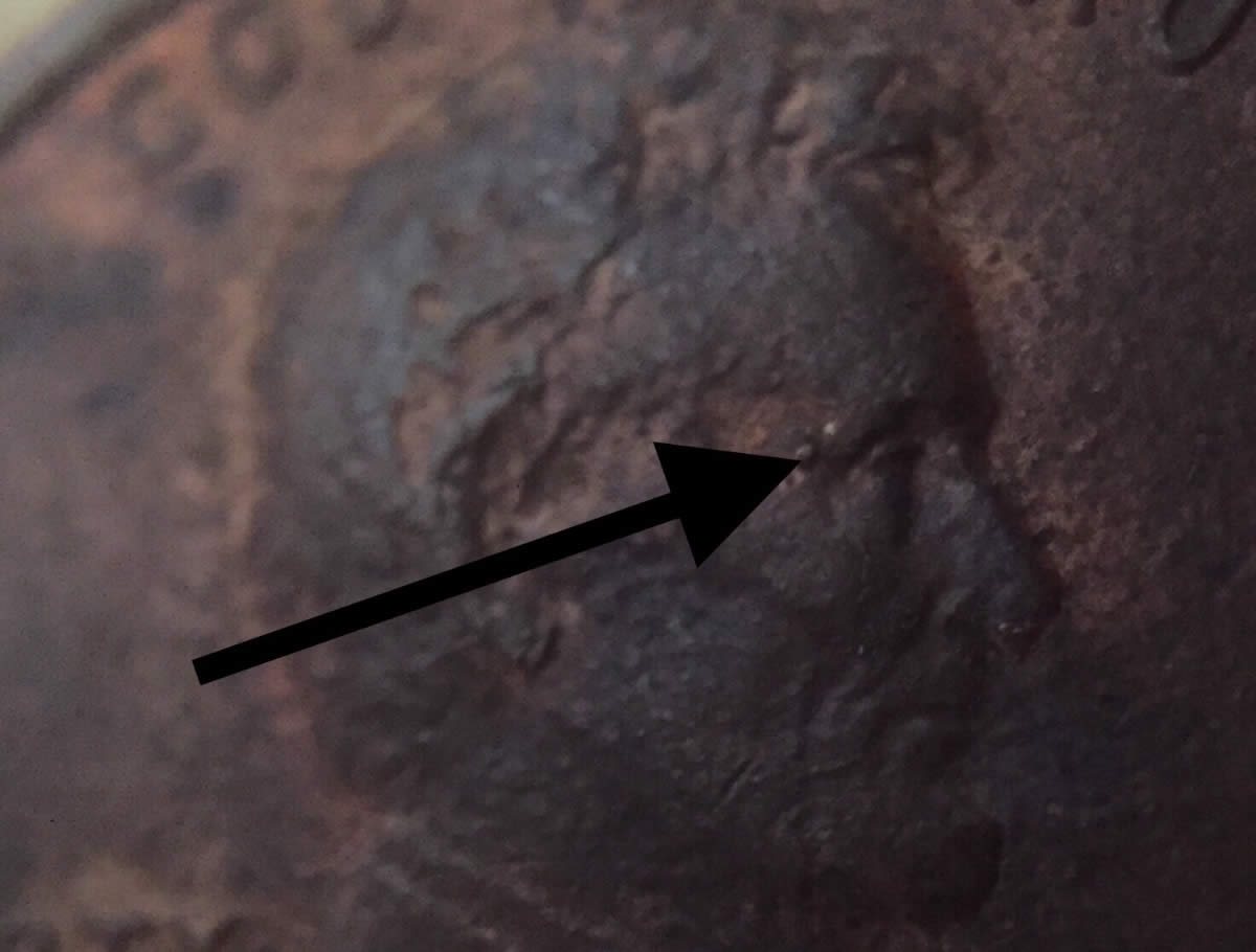 1983-D-Lmc-Lincoln-Wart?