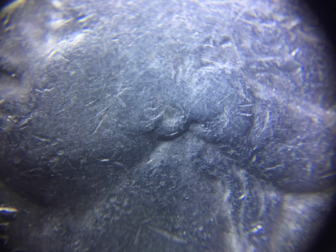 1972-Washington-Quarter-Doubled-Ear?