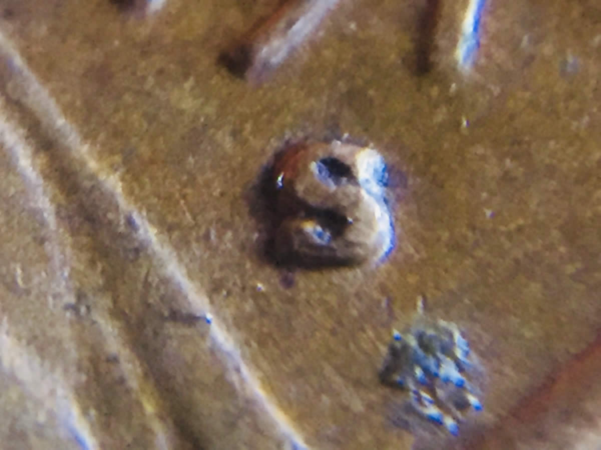1974-S-LMC-Mintmark-Error?