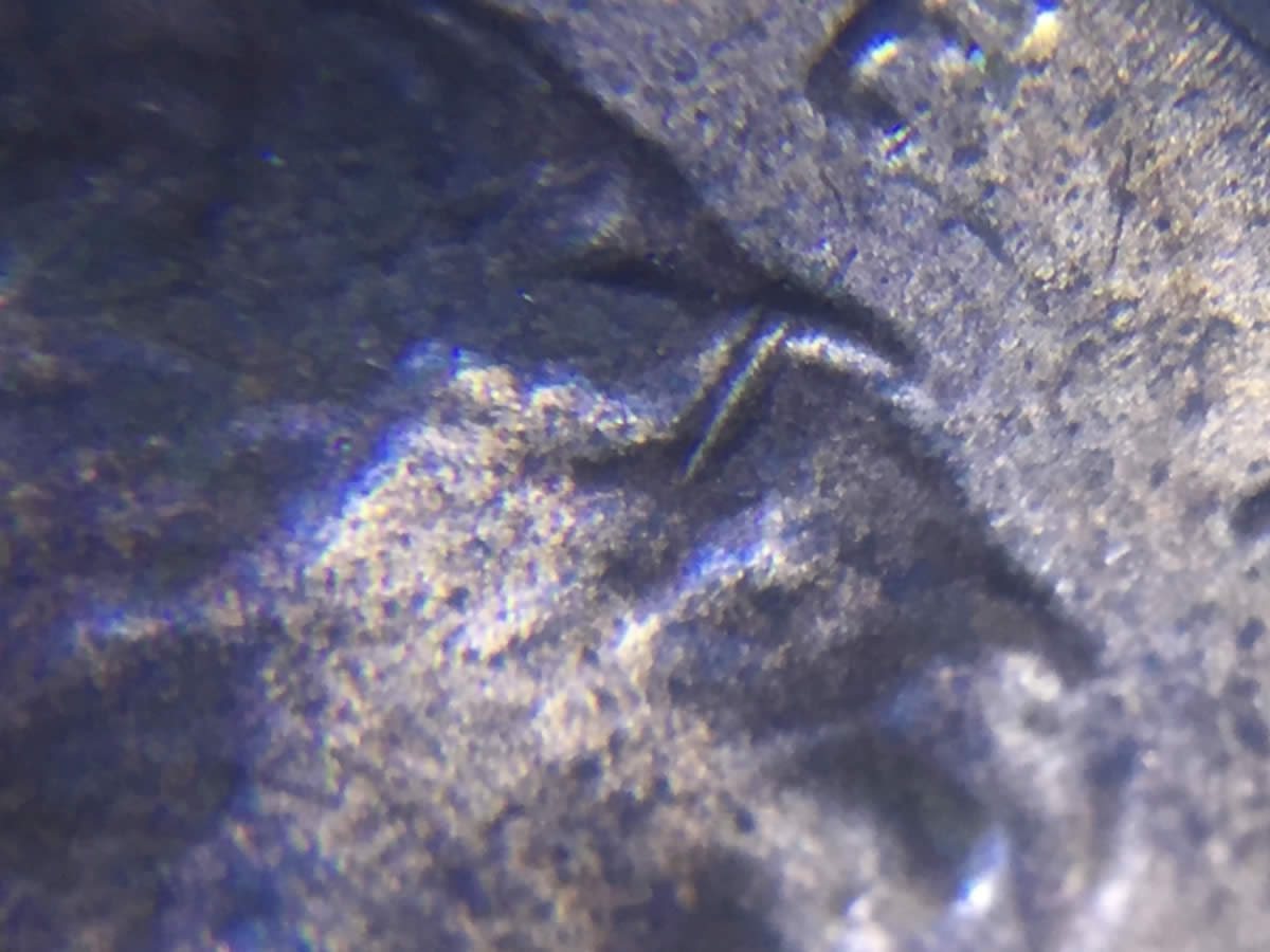2015-D-LSC-Hair-Error?