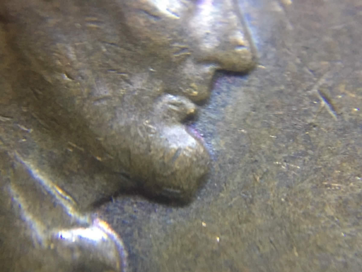 1956-D-LWC-DDO-On-Lincoln's-Head?
