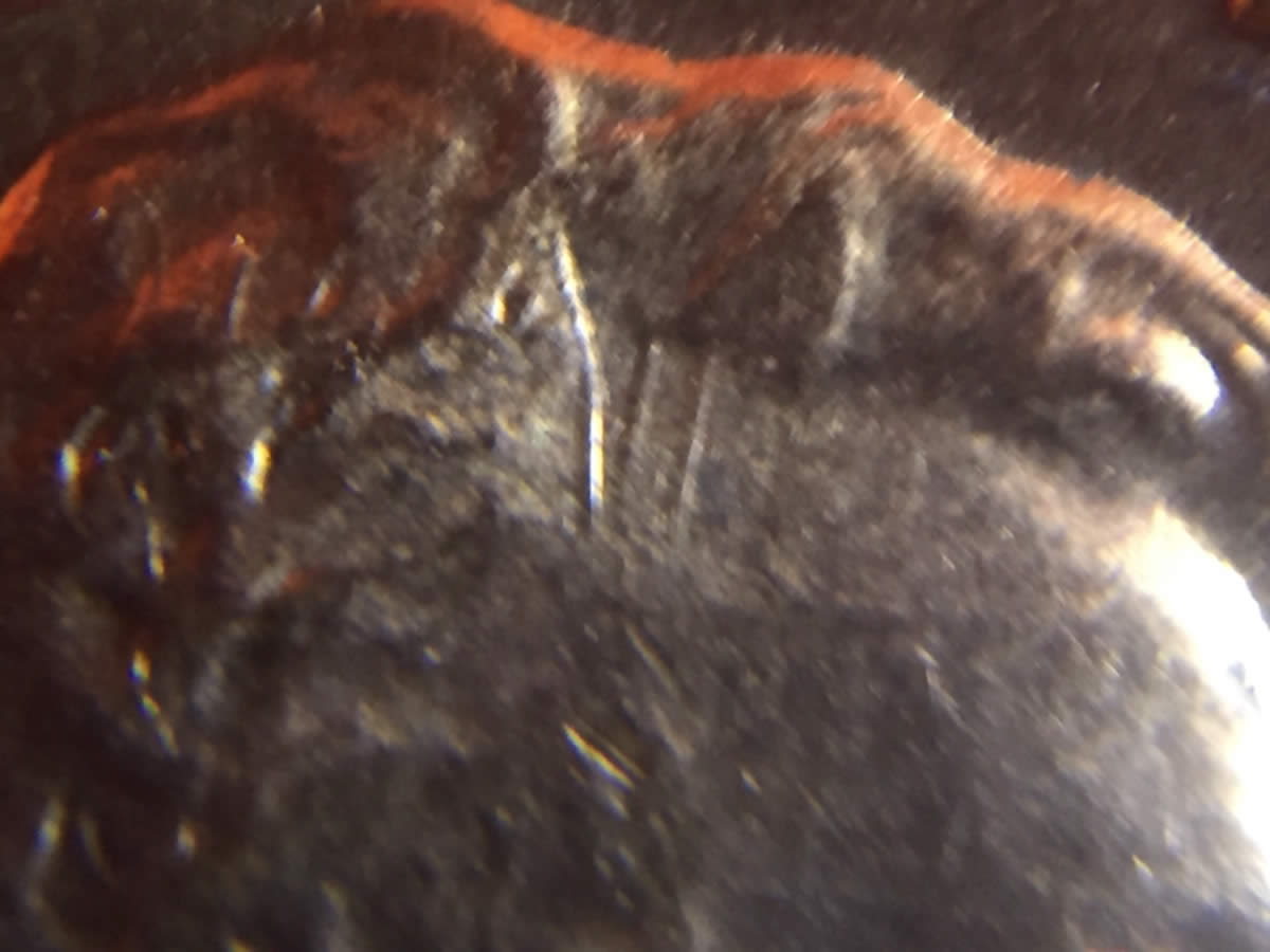 1960-D-LMC-Small-Date-Several-Die-Chips-And-Die-Scratches.