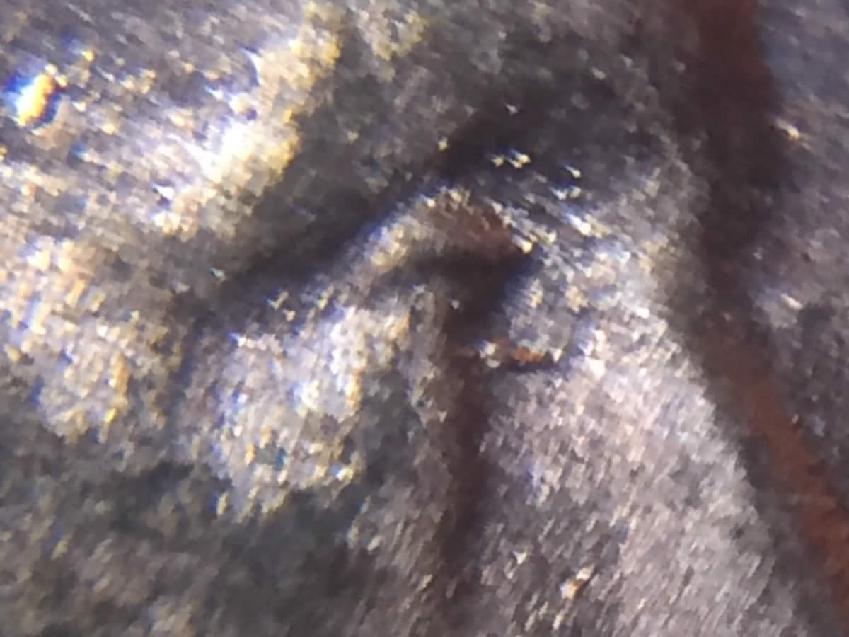 1983-D-Lmc-DDO-Eye?