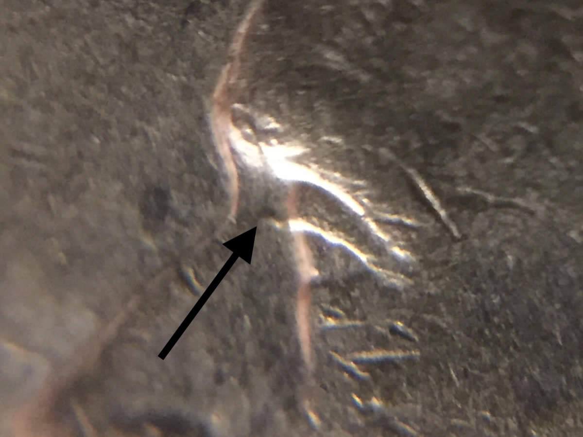 2005-D-Lewis-And-Clark-Jefferson-Nickel-Doubled-Eye?