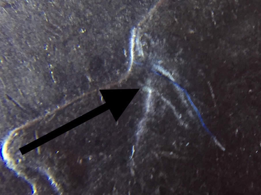 2005-D-Lewis-And-Clark-Jefferson-Nickel-Doubled-Eye?