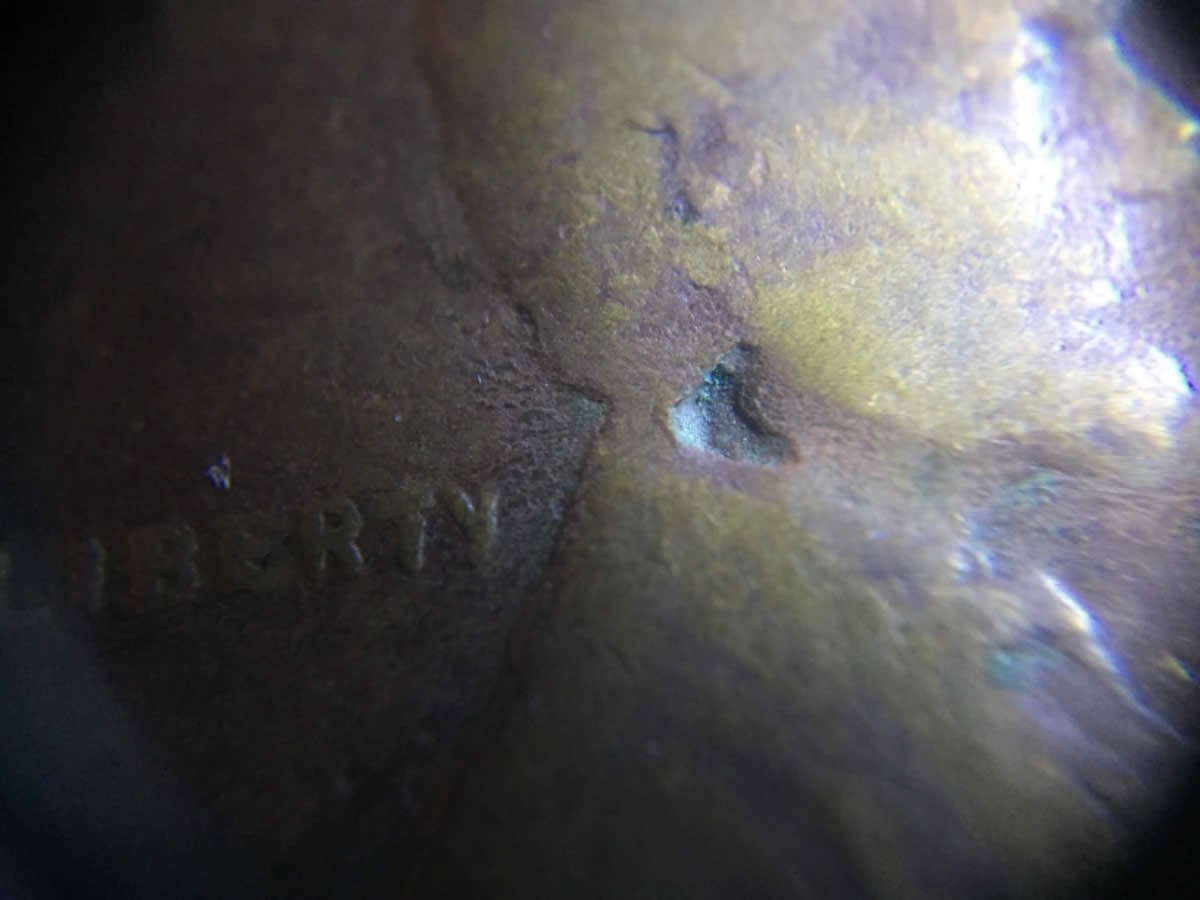 1946-D-LWC-Deep-Lam?
