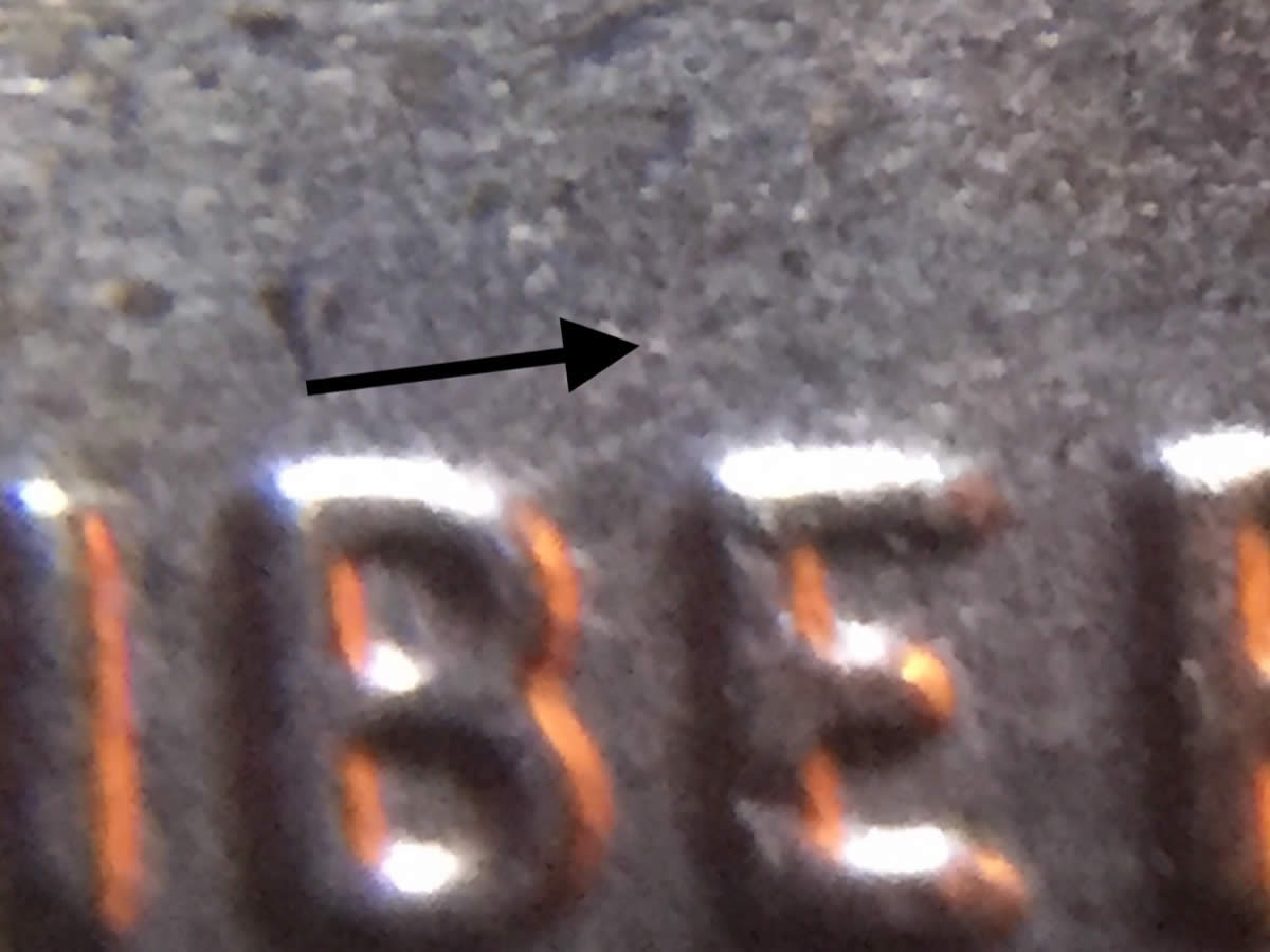 2010-D-LSC-1-Cent-WDDO-1?