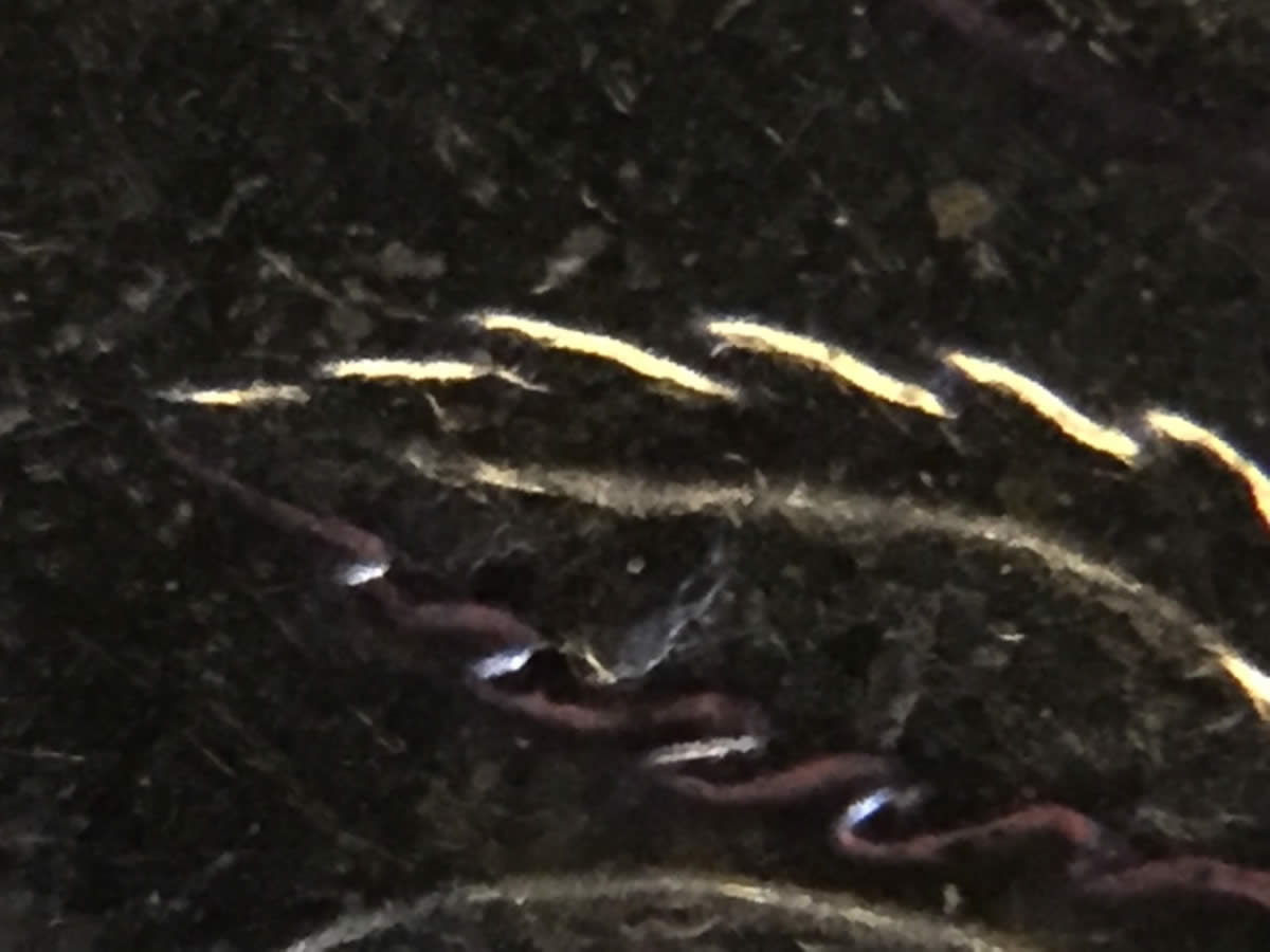 1999-P-Georgia-Quarter-New-DDR?