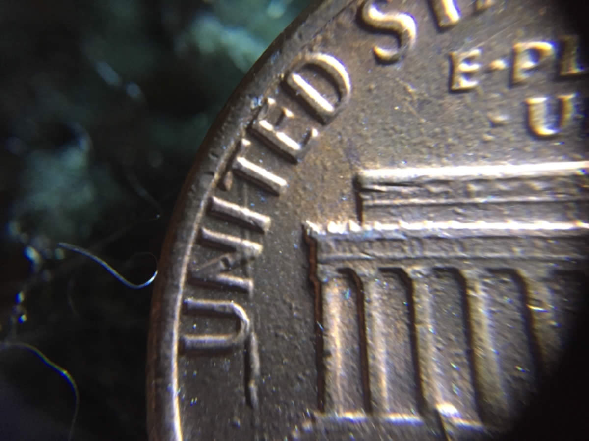 1984-D-LMC-Rim-To-Rim-Linear-Plating-Bubbles