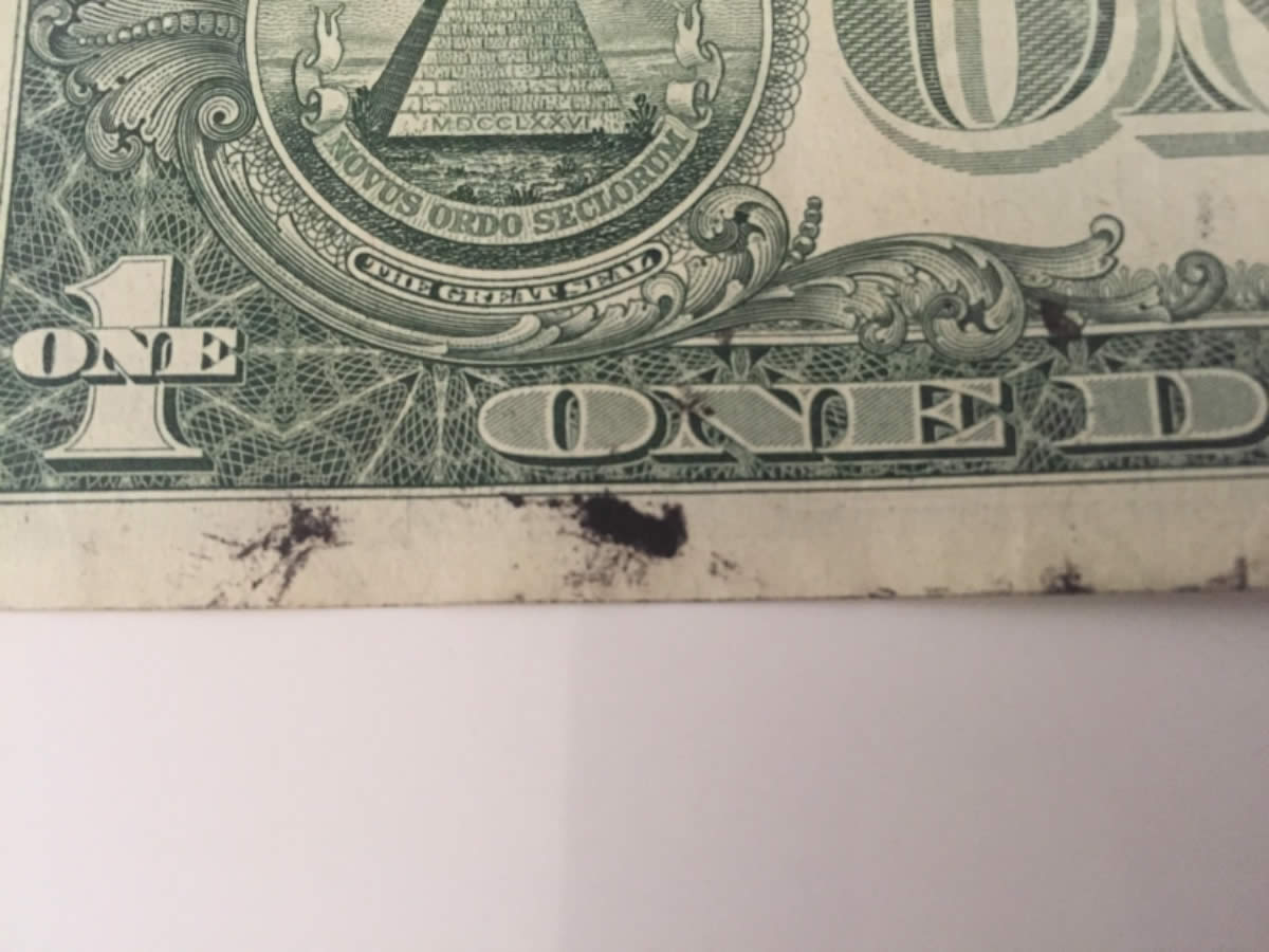 $1-Bill-Ink-Smear-Error?