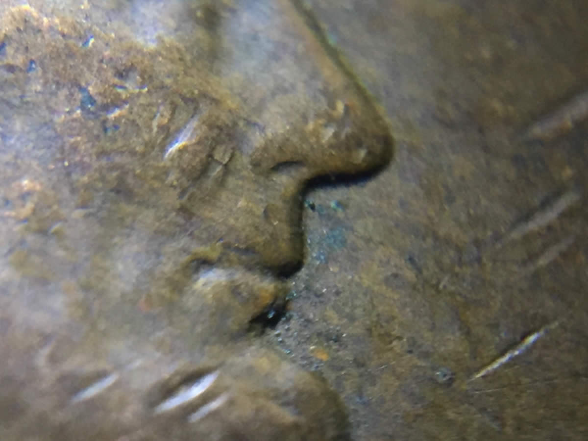 1964-D-DDO-Profile-Doubling?