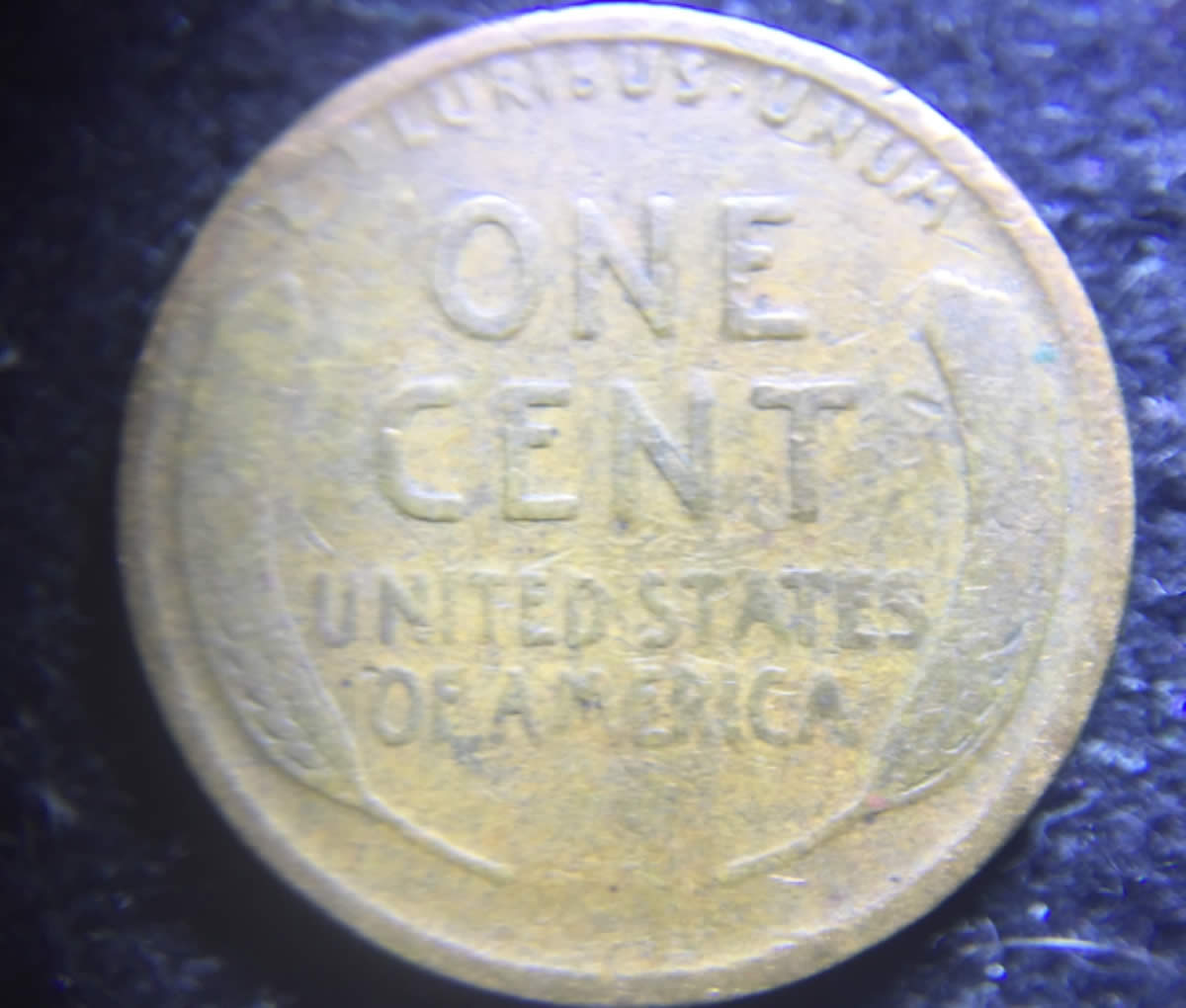 1919-1�-LWC-WDDR-001?