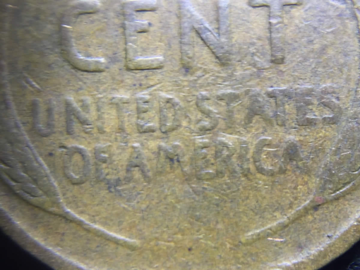 1919-1�-LWC-WDDR-001?