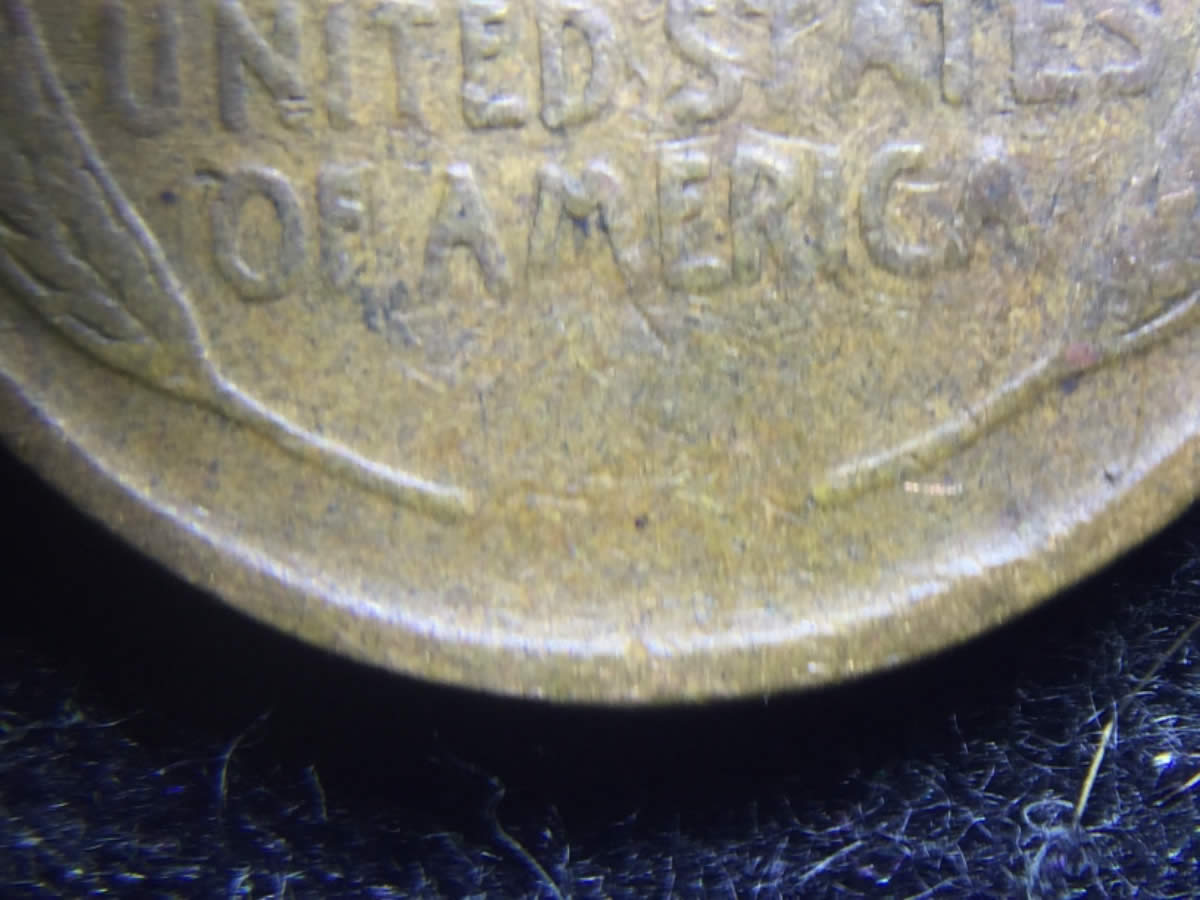 1919-1�-LWC-WDDR-001?