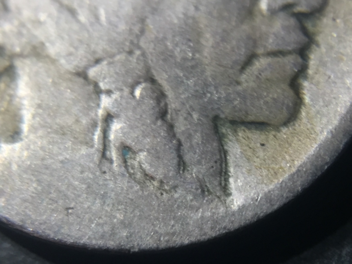 Dateless-Buffalo-Doubled-Die-Obverse?