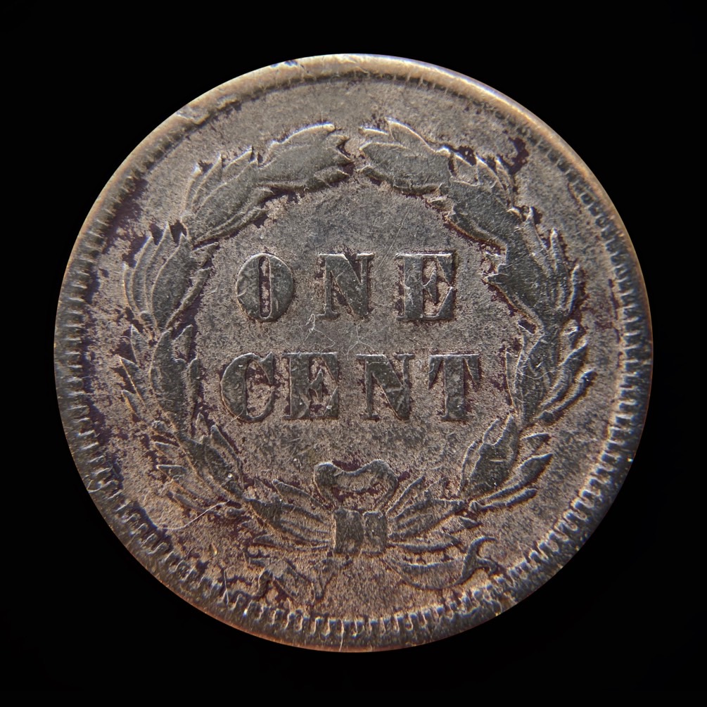 1859-IHC-RPD-Snow-1-FS-301-VF-Details