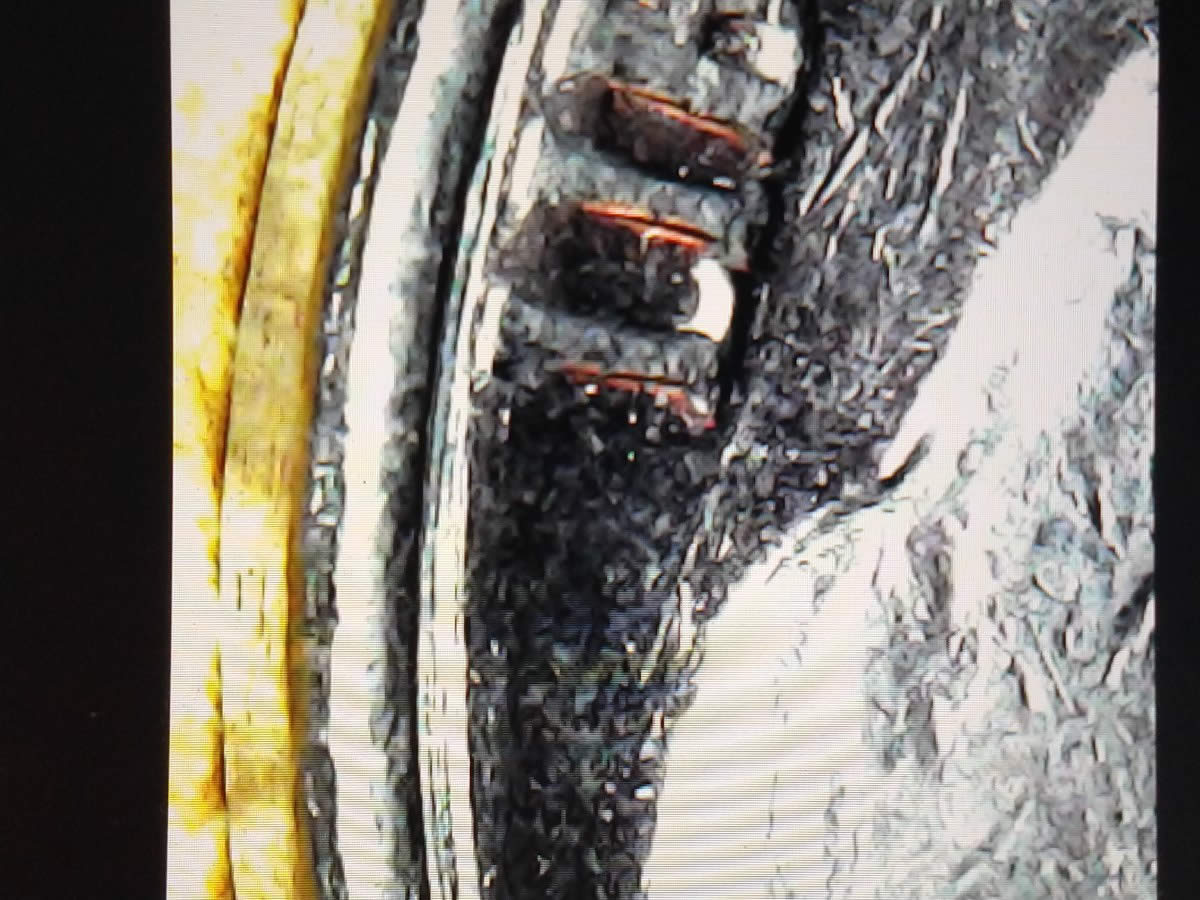 1988-D-Jefferson-Nickel