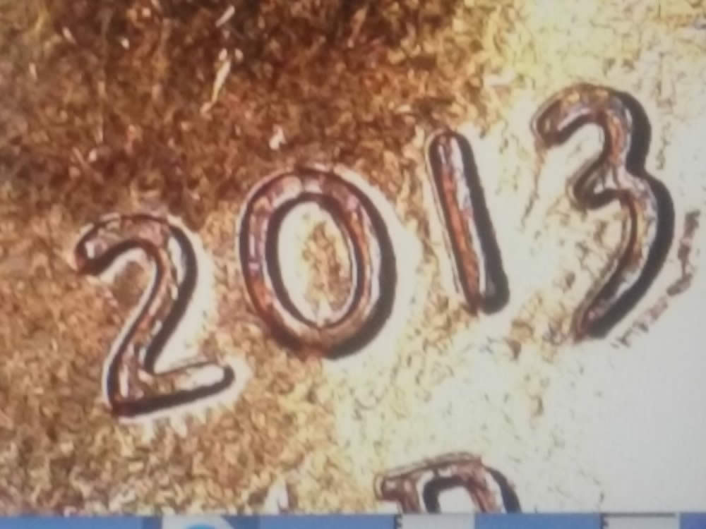 2013-D-Shield-Cent.--More-Machine-Doubling?--Intense!