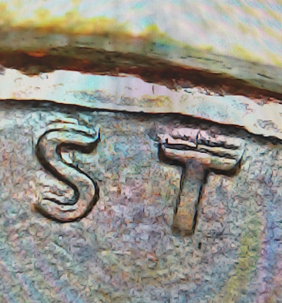 1995-D-Lincoln-Cent.--Is-This-Doubling?-Obverse-And-Reverse