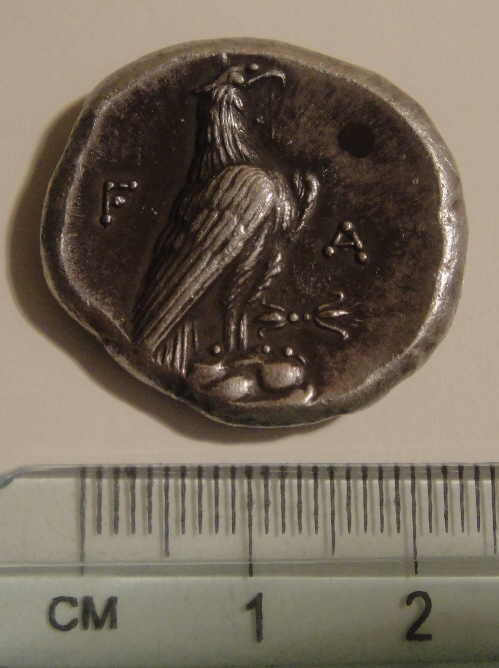 Could-This-Be-Fake?