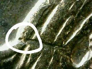 1999-D-Connecticut-State-Quarter..