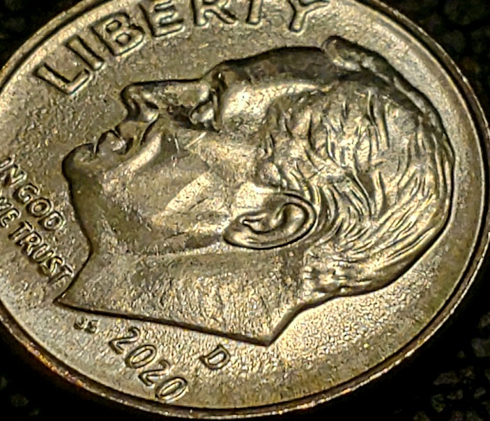 2020-D-Dime.-Coin-Rippled-Error?