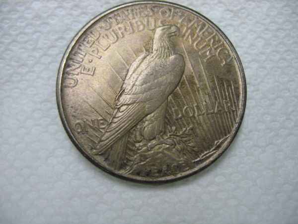 1921-Peace-Dollar-For-Grading
