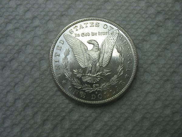 1881-S-Morgan-Update:-Grading-Results