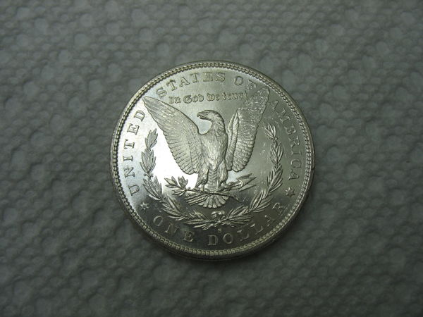 1881-S-Morgan-Update:-Grading-Results