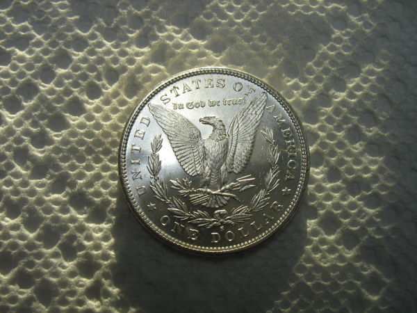 1881-S-Morgan-Update:-Grading-Results