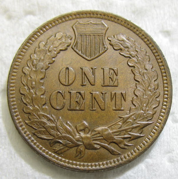 1904-Indian-Head-Cent-For-Grading-Opinion.