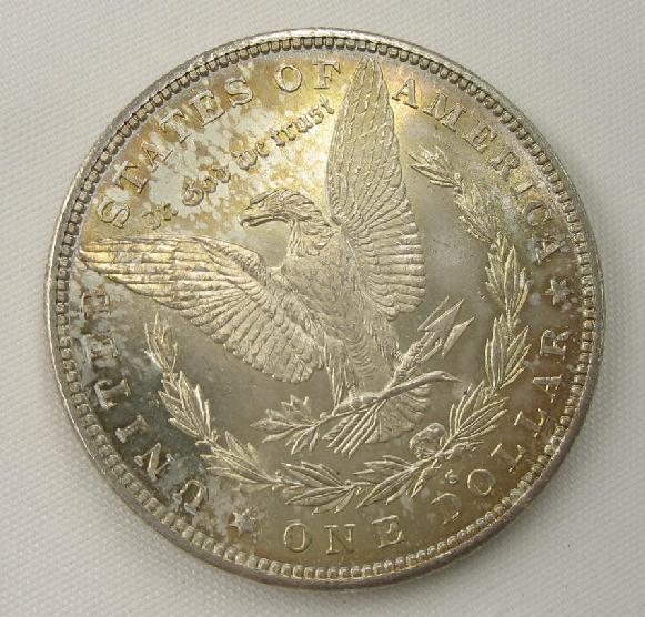 1882-S-Toned-Morgan-For-Grading