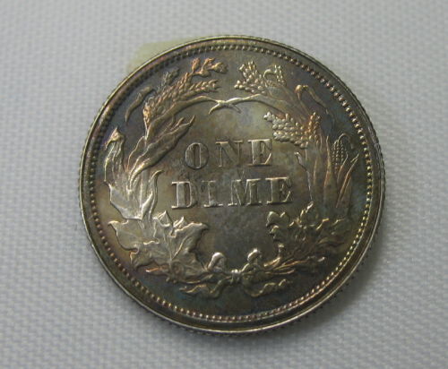 1876-Seated-Liberty-Dime---Possible-Proof-Or-Cleaned-Business-Strike?