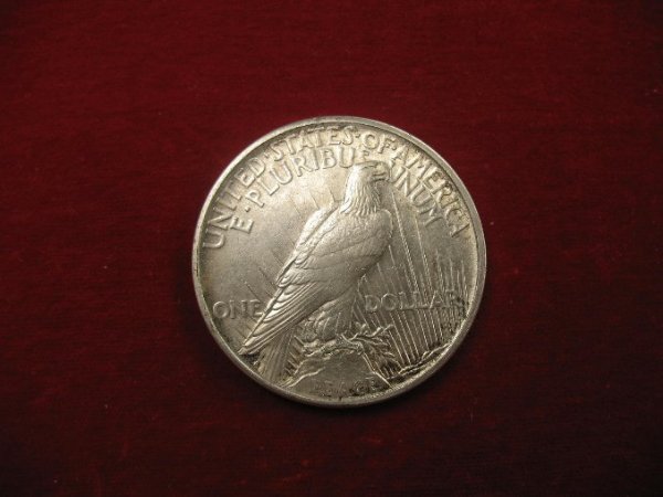 1921-Peace-Dollar-For-Grading-&-Is-It-A-Matte-Proof-OBV-Die?-Rim-Cud-Obv