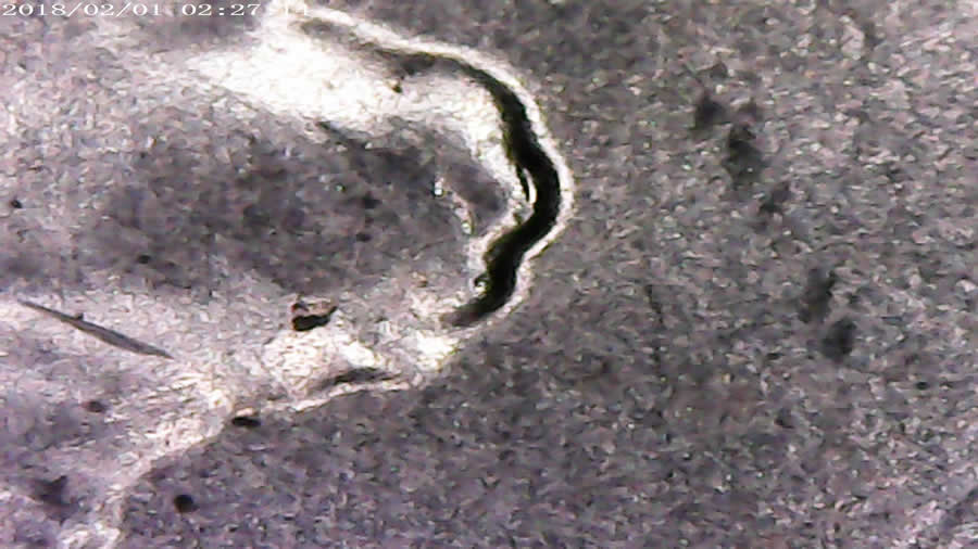 2016-D-Lincoln-Cent-DDO/Ddr?-All-Info-Appreciated