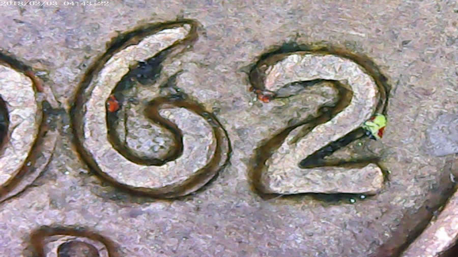 1962-D-Lincoln-Cent-Double-Die?-Opinions-Please