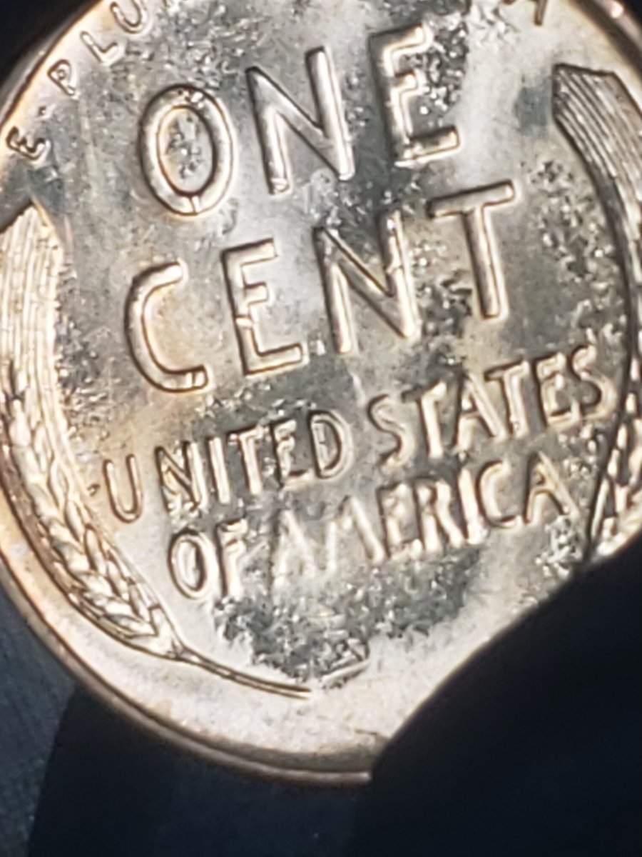 1955-S-LWC-Proof-Like-Surfaces?