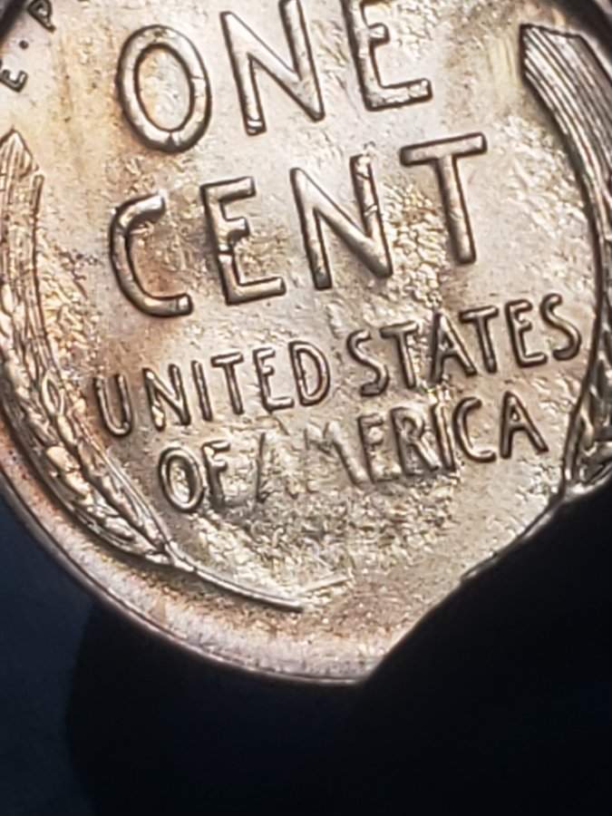 1955-S-LWC-Proof-Like-Surfaces?