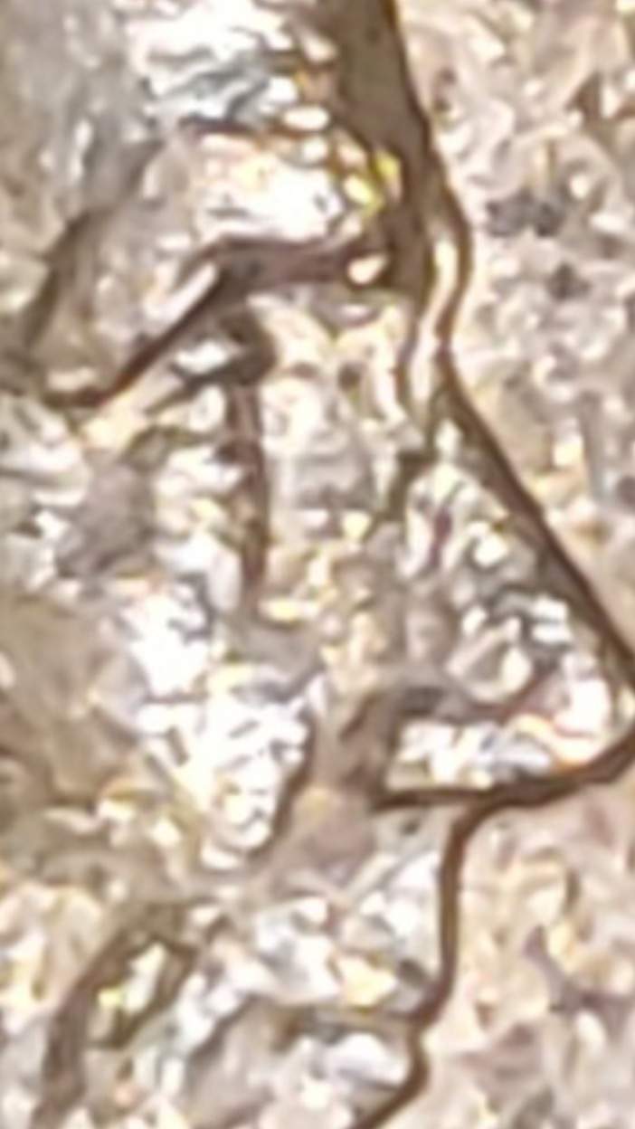 1989-Lincoln-Double-Struck-And-Doubled-Die?