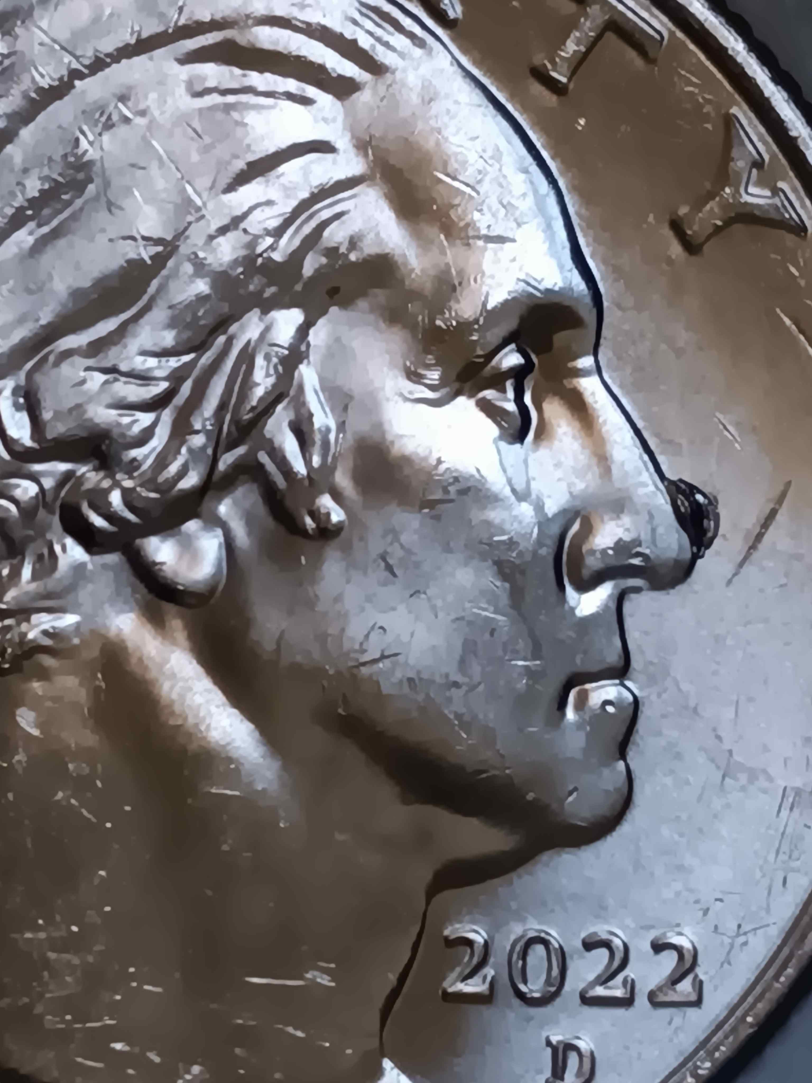 2022-D-Wilma-Mankiller-Nose-Die-Chip