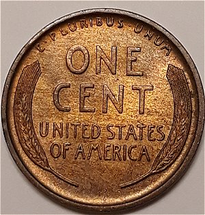 1909-LWC-..side-By-Side-Pictures.-What-Do-You-Think?