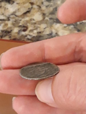 Would-This-Be-Considered-A-Defective-Die-On-This-Shield-Nickel?
